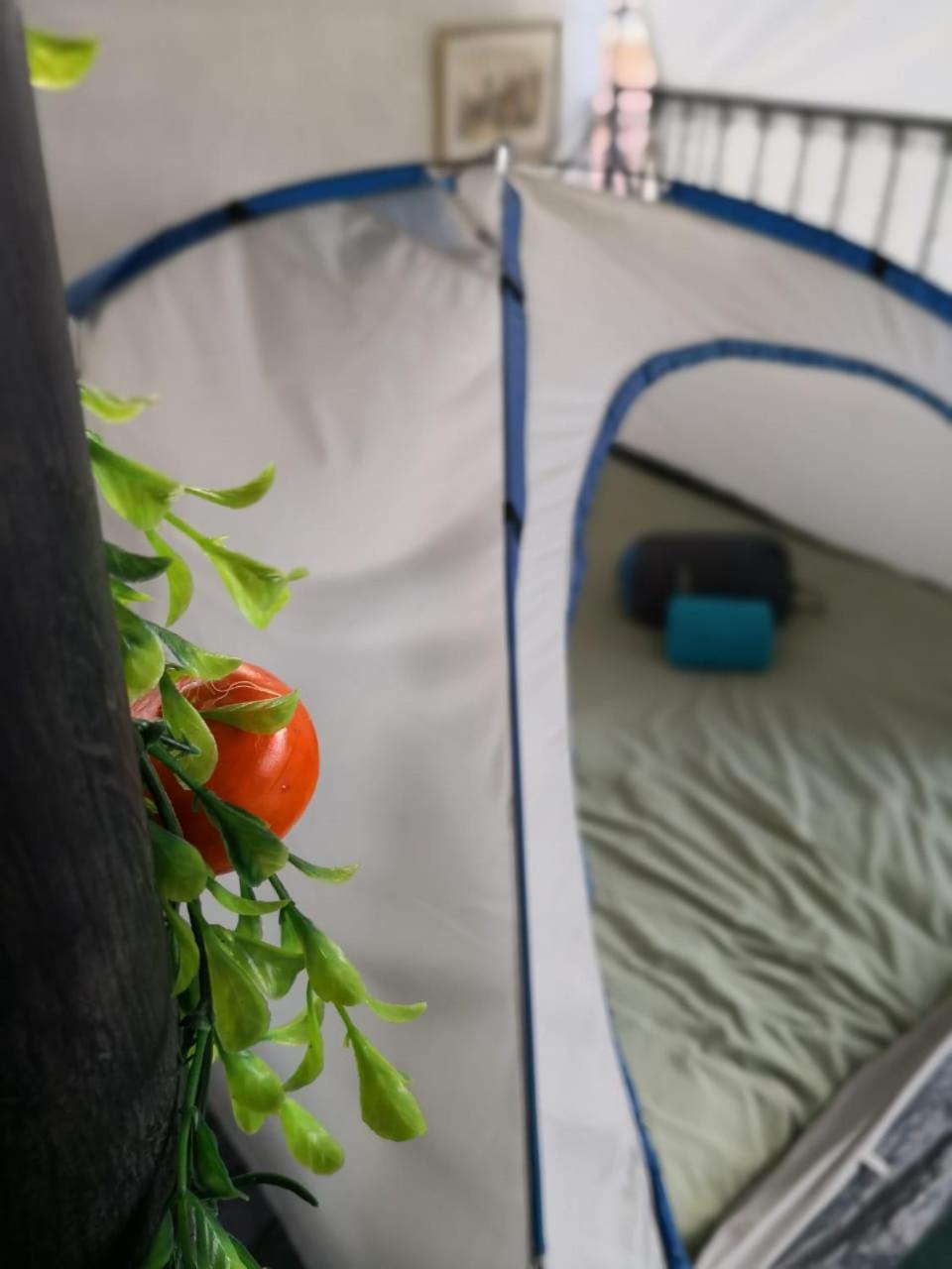 Camping & Travel Antigua Bagian luar foto