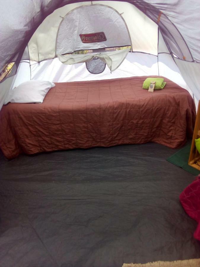 Camping & Travel Antigua Bagian luar foto